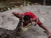 Dans les mchoires du crocodile